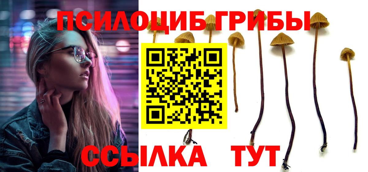 Елабуга  Псилоцибиновые грибы Magic Shrooms  Вход с VPN 
