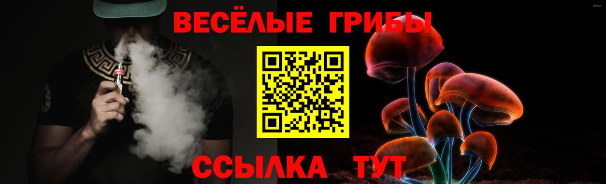 Галлюциногенные грибы прущие грибы Елабуга